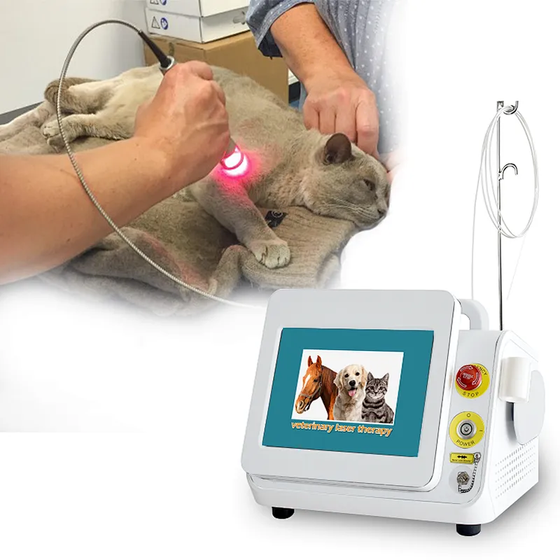 Class IV 980nm Laser Therapy Pet Clinic Animal Veterinary Physical Therapy Laser Equipment
