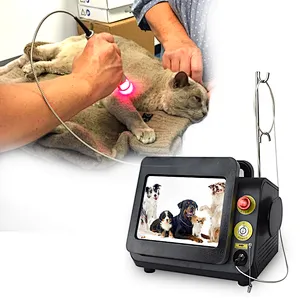 Veterinary Class 4 Laser Therapy Veterinary Animal Pet Use Horse Dog Cat Etc Joint Pain Relief Laser Equipment