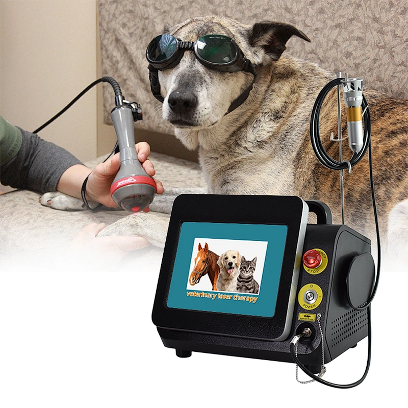 Lllt Laser Diode 980nm  Laser Physical Therapy Physiotherapy High Power Laser Equipment