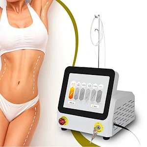 Endolaser Lipolaser 980nm Laser Assisted Fat Weight Loss Fiber Laser Cannula Laser Liposuction Machine