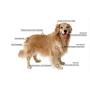 Veterinary Surgery Laser 30w 980nm Class 4 Laser Animal Treatment