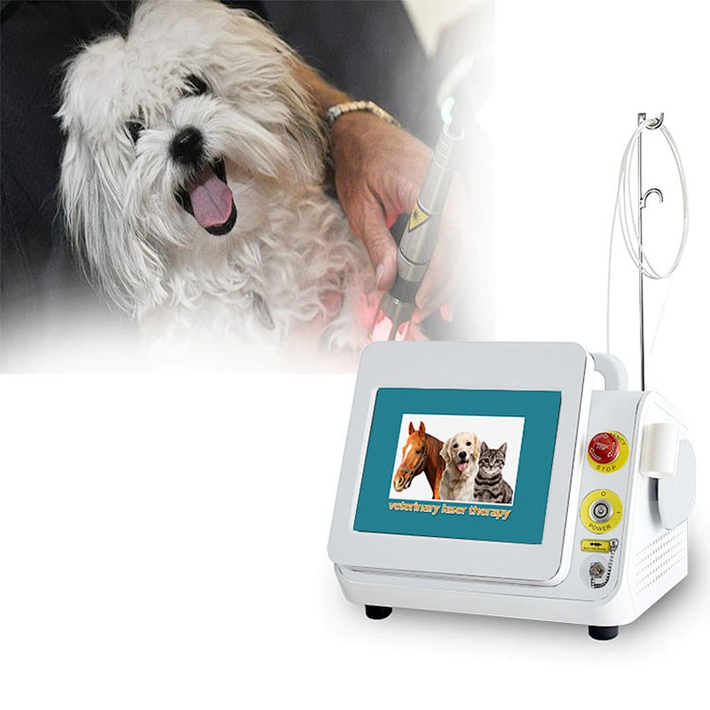 Professional Medical Diode Laser Instrument 980nm Infrared Veterinary Laser Therapy for Pet Animals' Surgical Pain Treatment