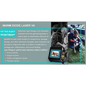Newest Class IV Laser Therapy Diode 980nm Veterinary High Power Treat Animals and Pets Without Side Effects