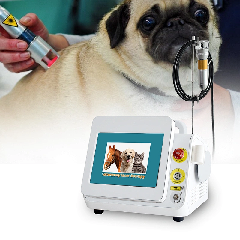 Veterinary Laser Therapy 980nm  Laser Machine  Laser Therapy Device for Pets