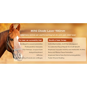 Portable Pain Relief Devices Animal Therapeutic Physiotherapy Equipment Ultrasound Machine for Physical Therapy Pets Use