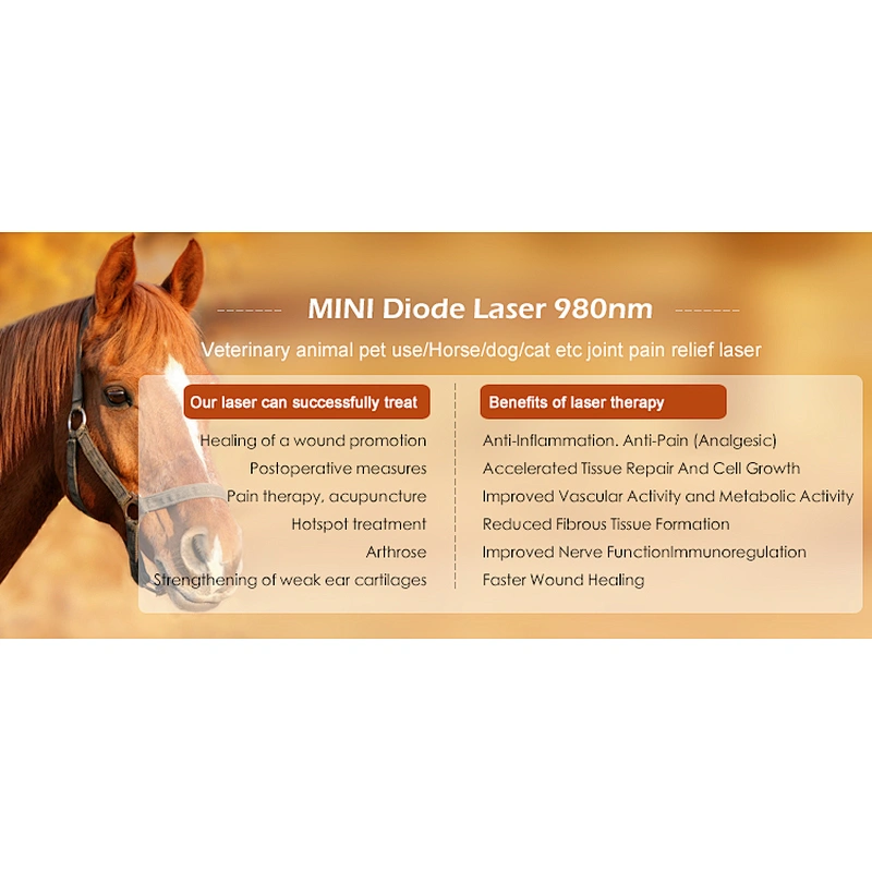 Portable Pain Relief Devices Animal Therapeutic Physiotherapy Equipment Ultrasound Machine for Physical Therapy Pets Use