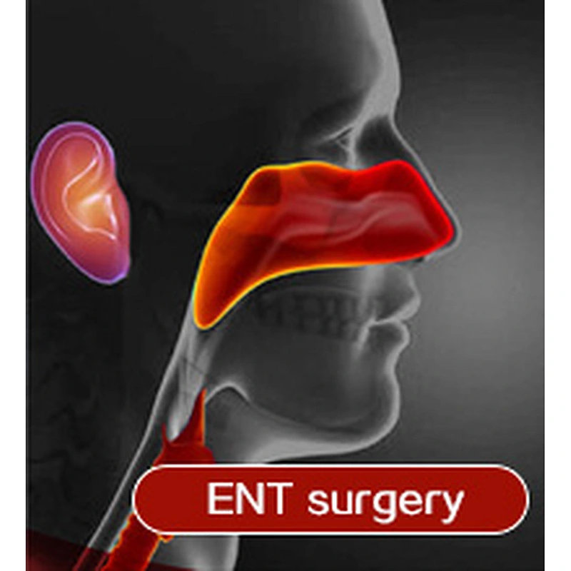 Surgery Laser System Soft Tissue Cutting ENT 980nm 1470nm Ent Laser Machine