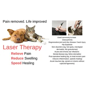 2024 New Veterinary Use High Power Class IV Pain Relief Laser Therapy Device