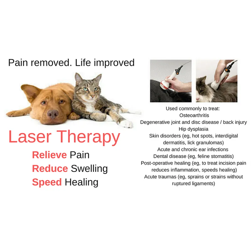 2024 New Veterinary Use High Power Class IV Pain Relief Laser Therapy Device