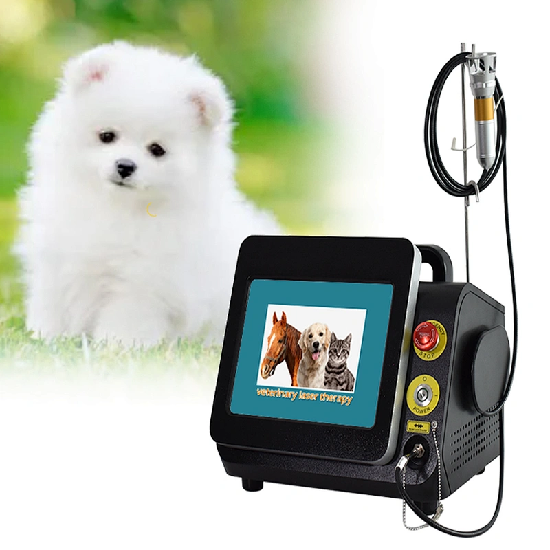 Class IV Laser Physiotherapy Equipment  Far Infrared Physiotherapy Medical Device