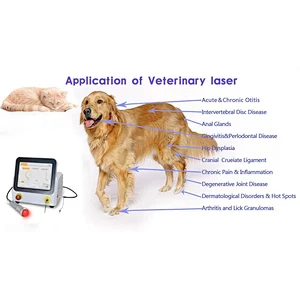 Pain Therapy Veterinary Laser 30w  60W 980nm Class 4 Laser Physiotherapy Equipment
