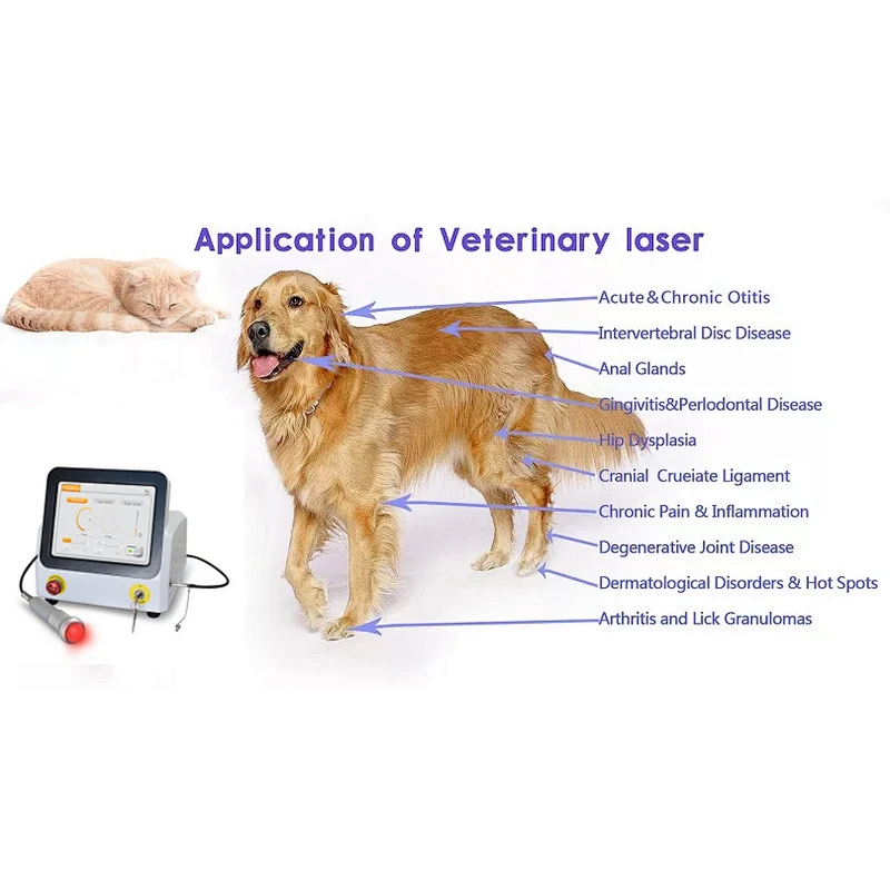 Pain Therapy Veterinary Laser 30w  60W 980nm Class 4 Laser Physiotherapy Equipment
