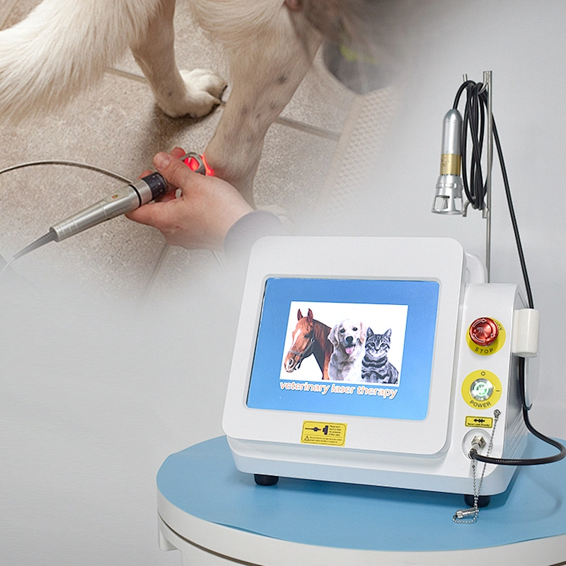 2024 New 980nm High Power Laser Vet Laser Therapy Surgical Laser Veterinary Machine