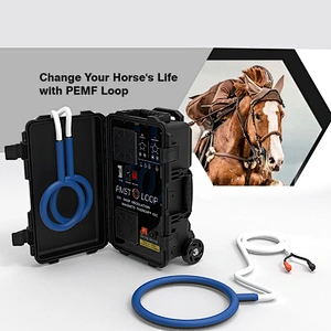 Electro Magnetic Wave Therapy Machine Pemf Loop Pain Reduction Magnetic Therapy Devices for Horses