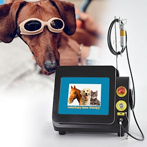 Horse Veterinary Equipment Class 4 Pet Pain Relief Machine