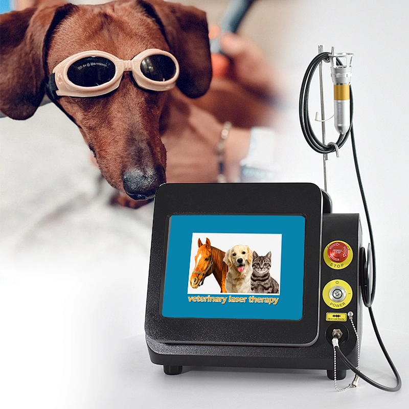 Horse Veterinary Equipment Class 4 Pet Pain Relief Machine