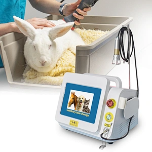 2025 Class 4 Therapy Laser High Intensity Physiotherapy Veterinary Animal Equipment Laser Therapy