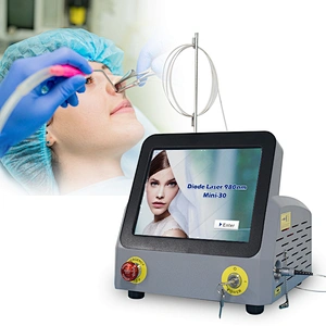 2024 Professional Diode Laser Instrument 980nm Diode Laser Treating Ent