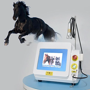 Veterinary Laser Therapy High Power Class 4 Laser 980nm 60w Pet  Laser