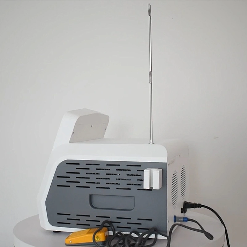 Plastic Surgery Use Proctology Laser Haemorrhoids Anal Fistula Pilonidal Sinuses 980nm 1470nm Laser