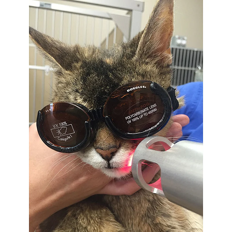 2024 New Veterinary Use High Power Class IV Pain Relief Laser Therapy Device