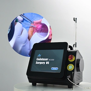 980nm1470nm Proctology Surgical Treatment Machine High Power Removal Fistula Hemorrhoids Pilonidal Sinus