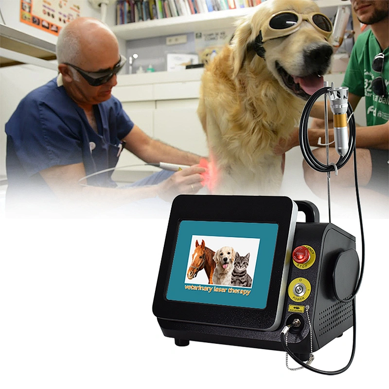 Portable Pain Relief Devices Animal Therapeutic Physiotherapy Equipment Ultrasound Machine for Physical Therapy Pets Use