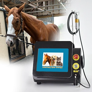 Veterinary Laser Therapy 980nm With Cutting Equipment