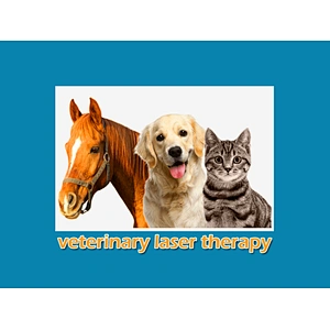High Power 60W 980nm Diode Class Iv Vet Laser Therapeutic Veterinary Laser Physiotherapy for Animal and Pet Pain Physiotherapy