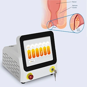 2024 Hot Seller 980nm 60w Diode Laser for Hemorrhoids Laser Fistula Treatment