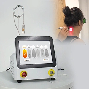 2025 Hot Sale  Portable Class Iv High Power Laser Physiotherapy Equipment 980nm for Pain Relief