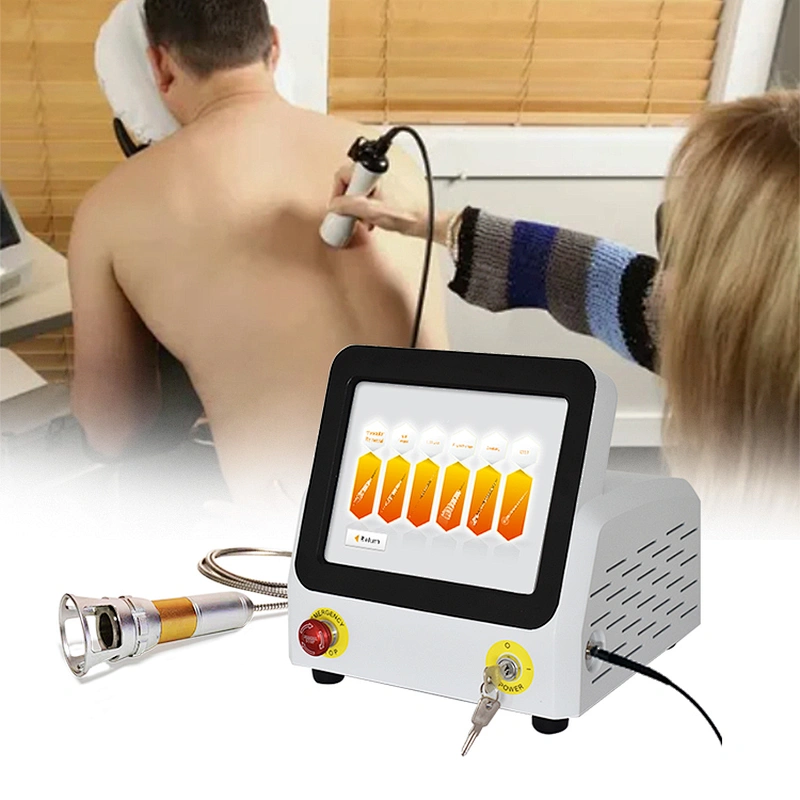 2025 New Portable Class IV Physiotherapy Diode Laser with Three Wavelength 810nm 980nm 1064nm for Therapy Pain Relief