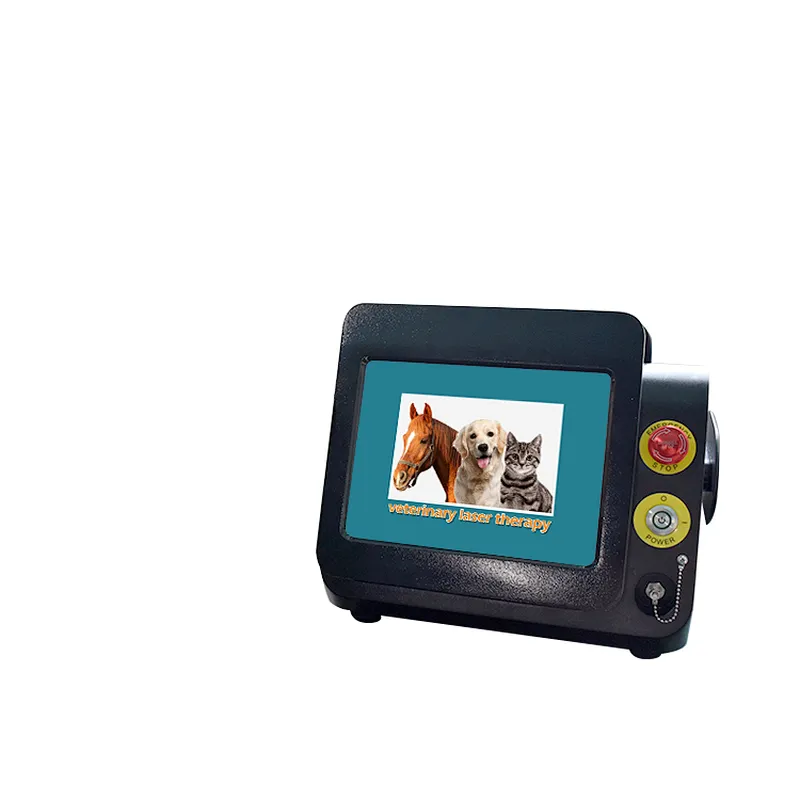 2024 New Veterinary Laser Equipment Laser Therapy for Dogs Anti-inflammation