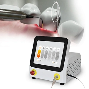 Hot Sale Portable 980nm 30w 60w Dental Soft Tissue Laser Therapy Hard Tissue Whitening Dental Laser Device