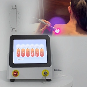 TRIANGEL High Intensive Laser Physiotherapy Class 4 Diode Laser 980nm 810nm 60W High Power Physical Therapy Equipment