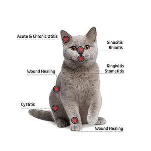 980nm Pet Laser Veterinarian Pain Relief Machine Veterinary Laser Horse Therapy Pain Relieving Machine