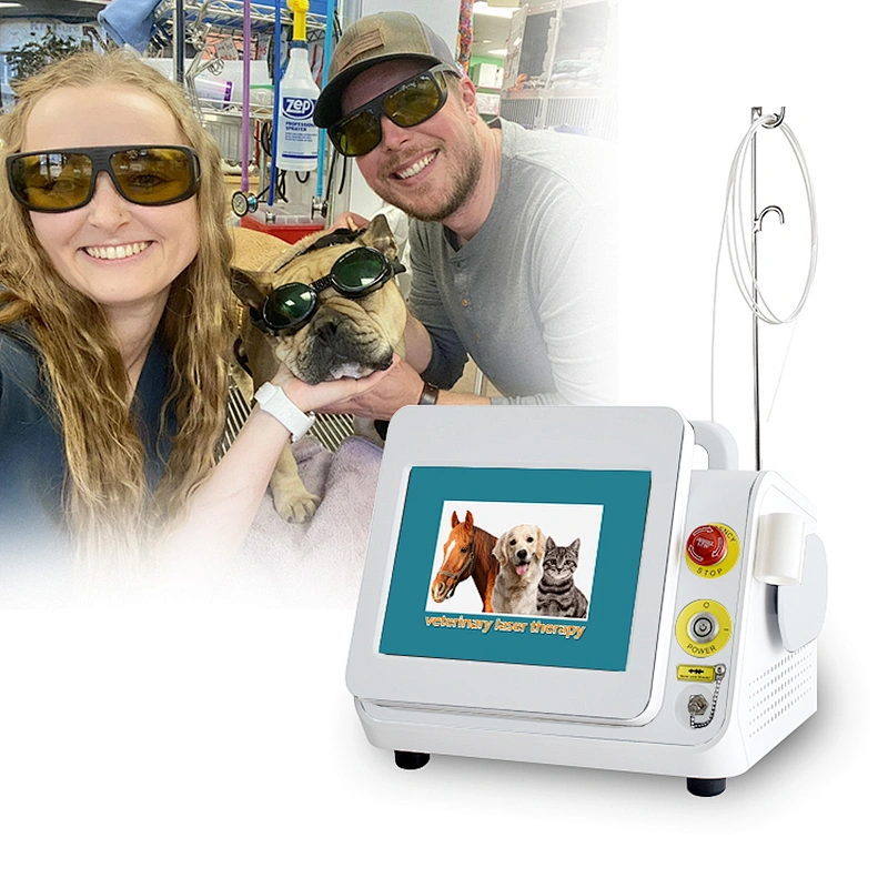 810& 980nm Veterinary Surgical & Therapy Laser Instrument Device