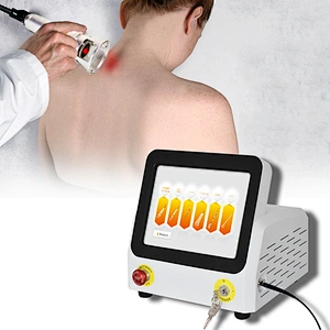 980nm Diode Laser Machine Physiotherapy Machine Multiwave System Portable Laser Physiotherapy