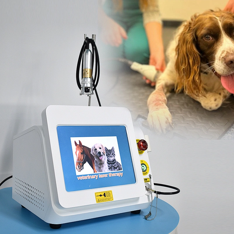 2024 New Veterinary Use High Power Class IV Pain Relief Laser Therapy Device