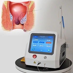 2024 Newest 980nm 1470nm Diode Laser 47w Hemorrhoids Fistula Laser Treatment Bloodless