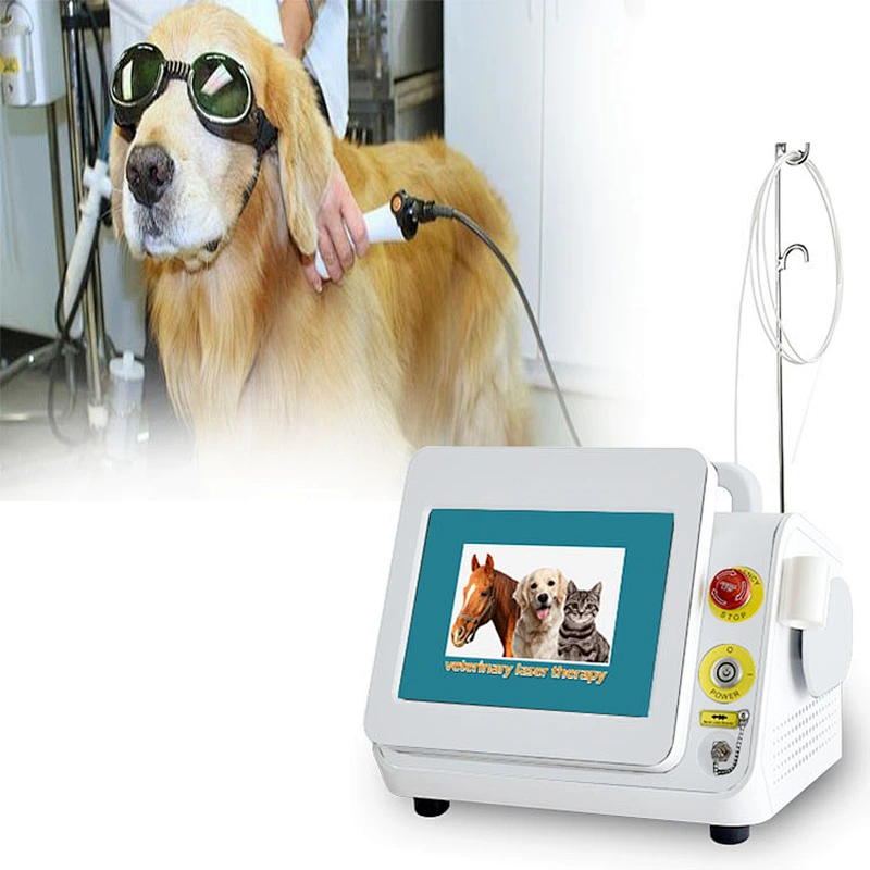 2025 Class 4 Therapy Laser High Intensity Physiotherapy Veterinary Animal Equipment Laser Therapy