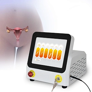 2024 High Quality  Stress Urinary Lncontinence (SUl) Diode 980nm  Laser Vaginal Tightening Gynecology Surgery