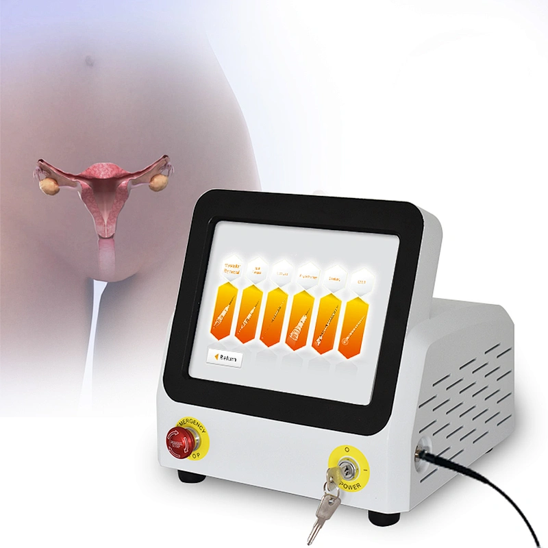 2024 High Quality  Stress Urinary Lncontinence (SUl) Diode 980nm  Laser Vaginal Tightening Gynecology Surgery