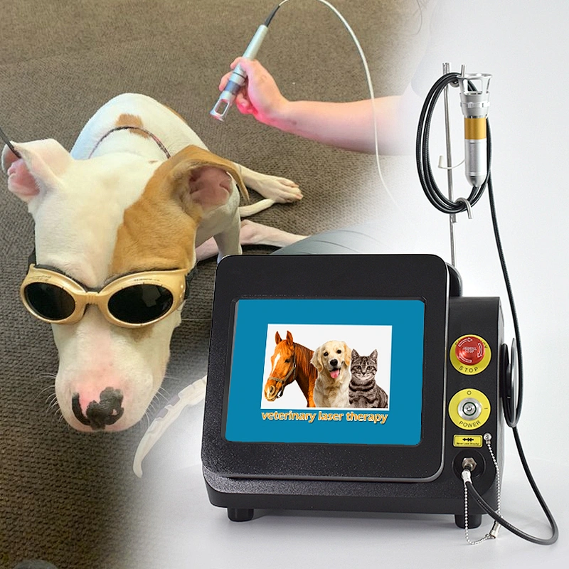 Horse Veterinary Equipment Class 4 Pet Pain Relief Machine