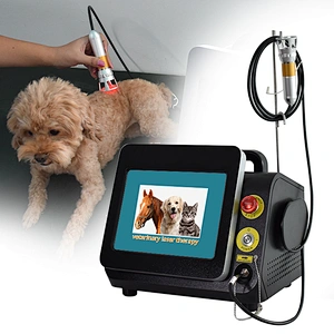 Innovative 30W 60W 980 1470 Physical Laser Therapy Class 4 for Pain Relief