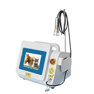 2023 Top Sale Veterinary Animal Pet 980nm Class IV Physiotherapy Pain Relief Diode Laser Machine