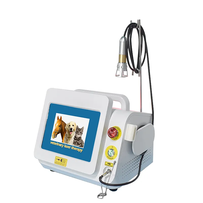 2023 Top Sale Veterinary Animal Pet 980nm Class IV Physiotherapy Pain Relief Diode Laser Machine