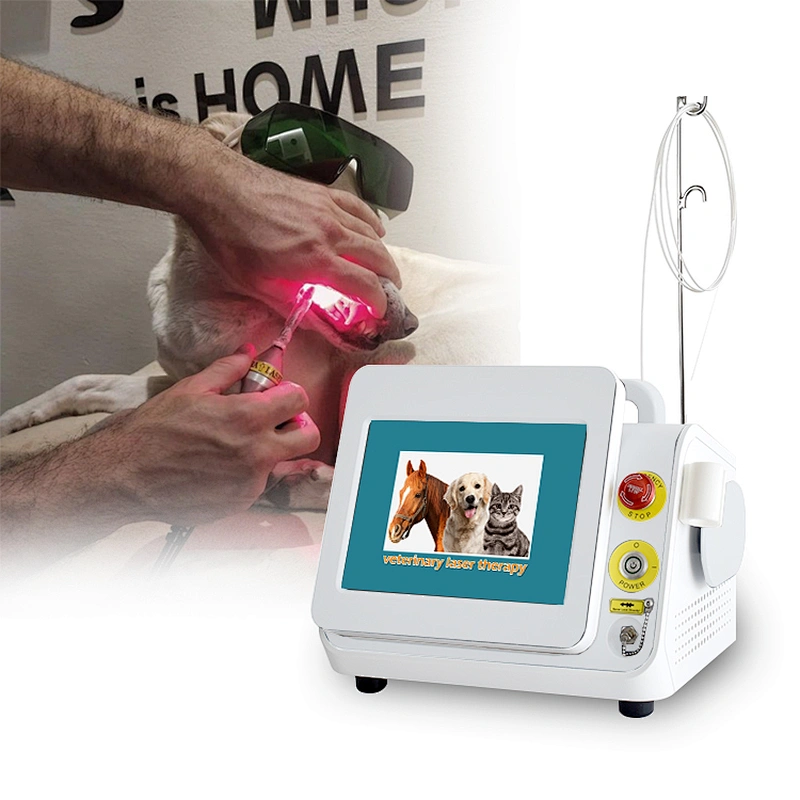 Veterinary Physical Therapy Device Cold Laser for Animal Wounding Healing Joint Injury Pain Relief 980nm