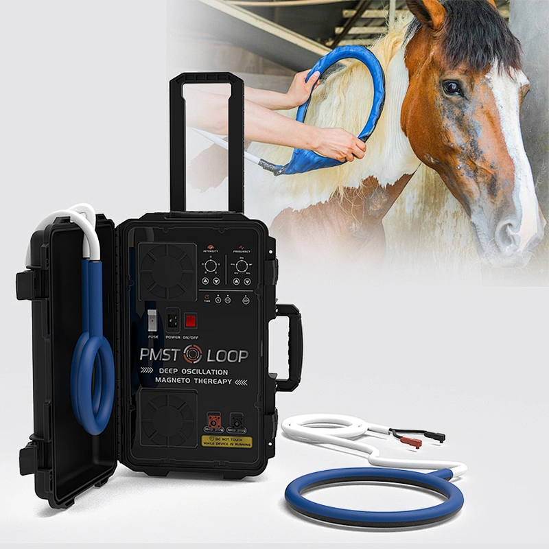 Horse Veterinary Equipment Magnetotherapy Loop Vet Laser Equine Machine Pemf Magnetic Therapy