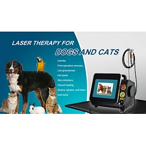 Newest Class IV Laser Therapy Diode 980nm Veterinary High Power Treat Animals and Pets Without Side Effects